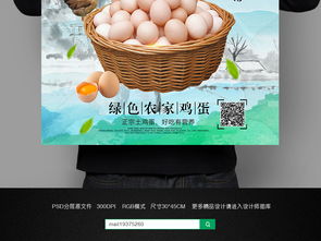 土雞蛋廣告掛畫設(shè)計 攜手軟件開發(fā)呈現(xiàn)