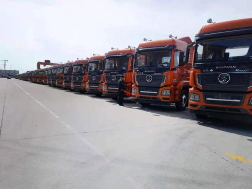 陜汽重卡 價(jià)值引領(lǐng)贏市場(chǎng)，品質(zhì)營(yíng)銷(xiāo)交付忙，助力國(guó)內(nèi)貨物運(yùn)輸代理蓬勃發(fā)展